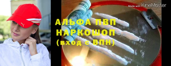 прущие грибы Новокубанск