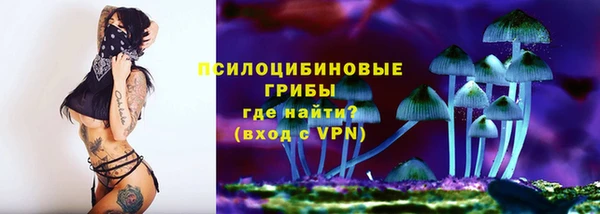 мдпв Нея